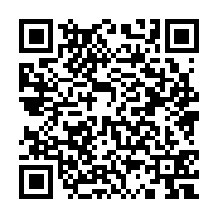 QR code for K383313