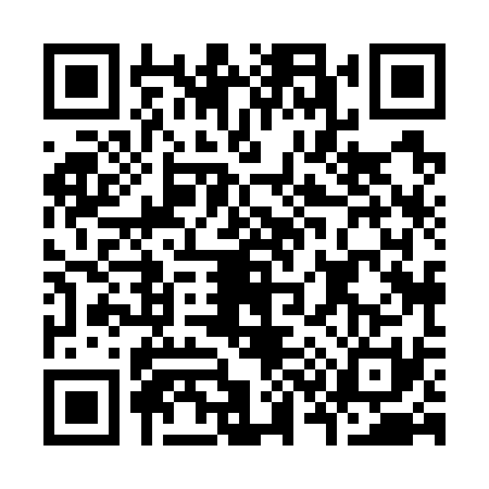 QR code for K387313