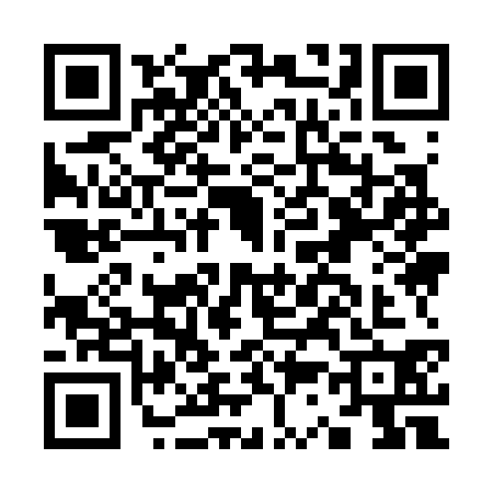 QR code for K393308