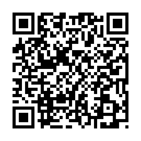 QR code for K395538