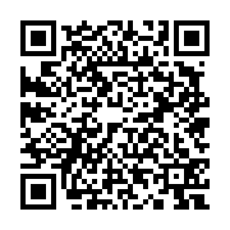 QR code for K454333