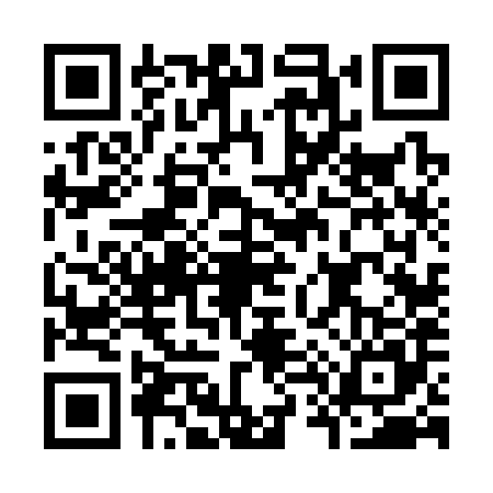 QR code for K463855