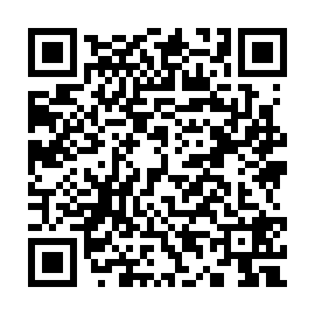 QR code for K493285