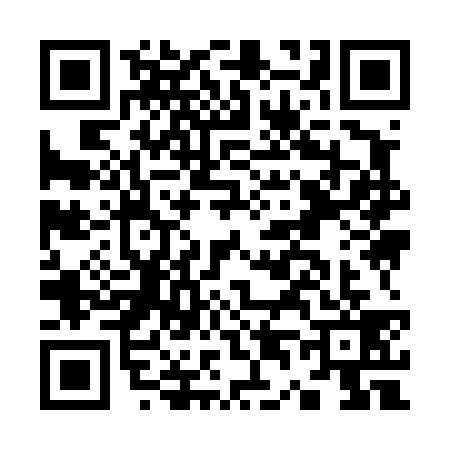QR code for K494390