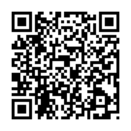QR code for K514379