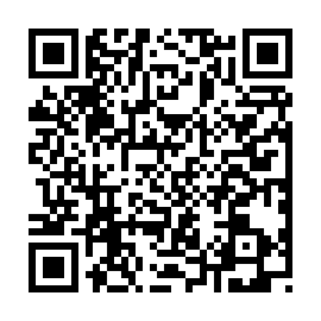 QR code for K528338