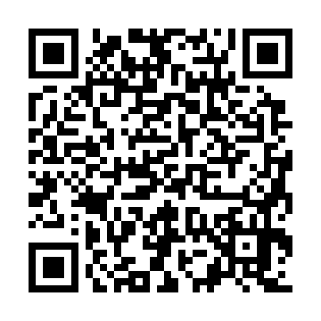 QR code for K533740