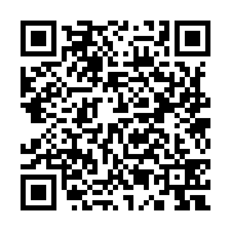 QR code for K539396