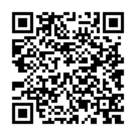 QR code for K541328