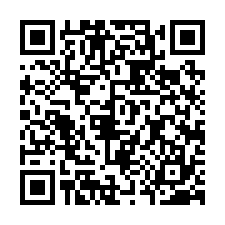QR code for K542377