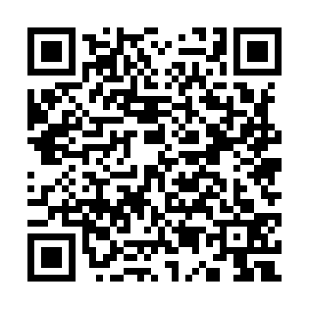 QR code for K559333