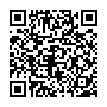 QR code for K575393