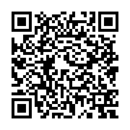 QR code for K785339
