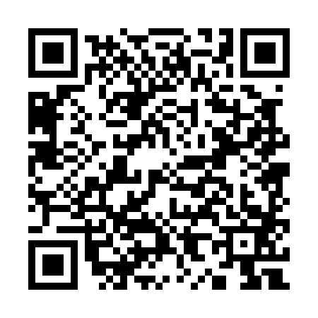 QR code for K800838