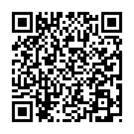 QR code for K809381