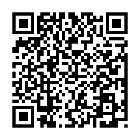QR code for K870382
