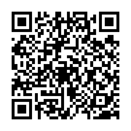 QR code for K916384