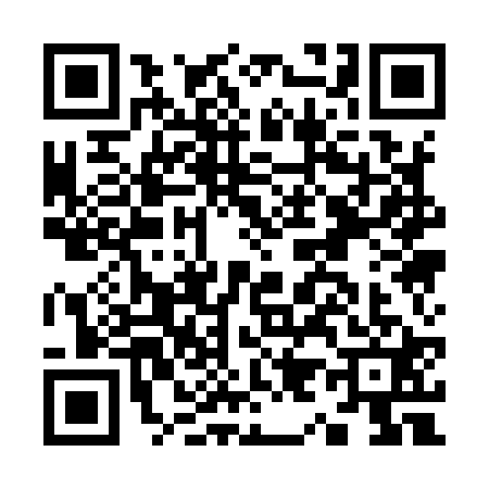 QR code for K919219