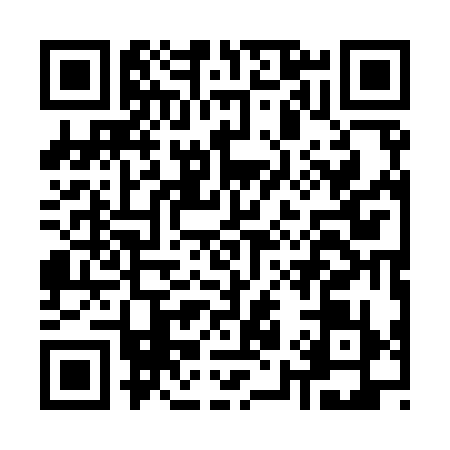 QR code for K919397