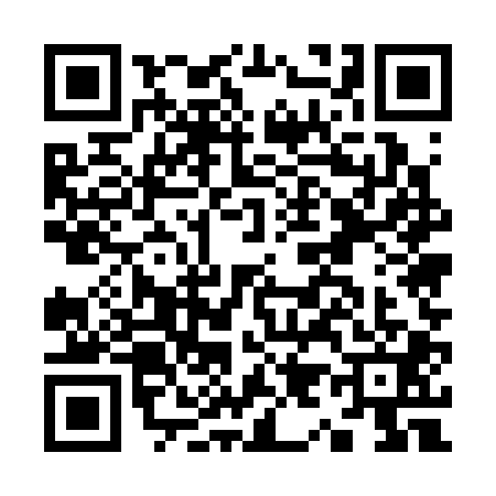 QR code for K953017
