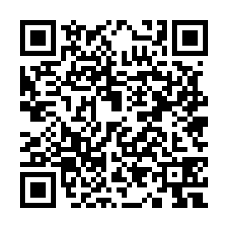 QR code for K955386