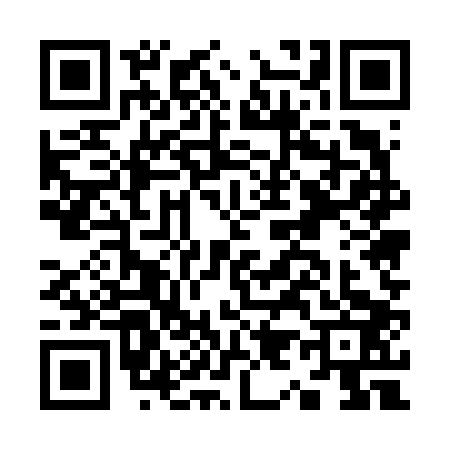 QR code for K956033
