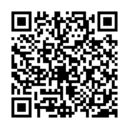 QR code for K992313