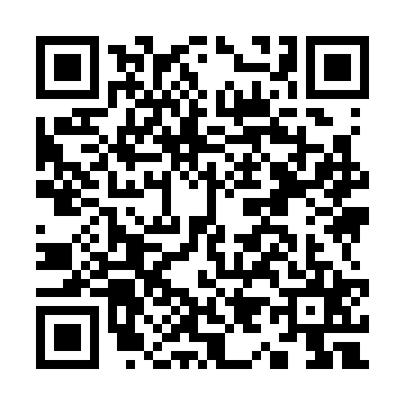 QR code for K993250