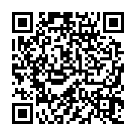 QR code for N013070