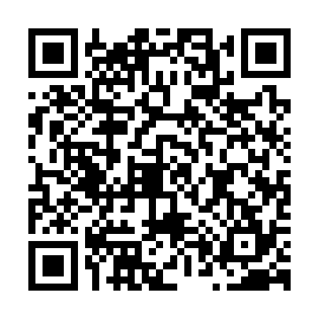 QR code for N013341