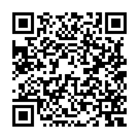 QR code for N038574