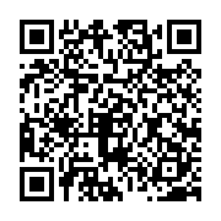 QR code for N040229