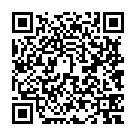 QR code for N048387