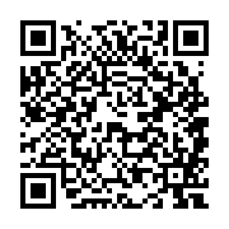QR code for N063853