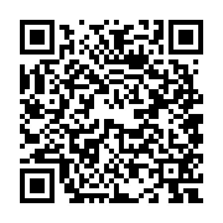 QR code for N066529