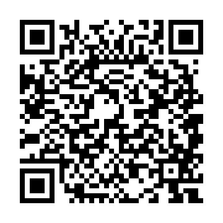 QR code for N066878