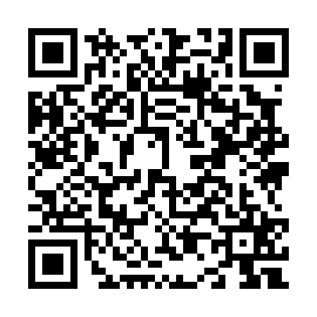 QR code for N090253