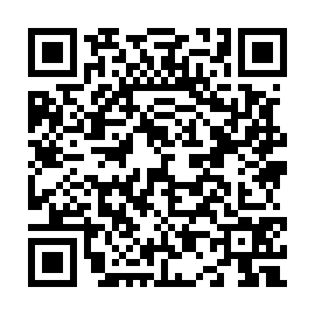 QR code for N095747