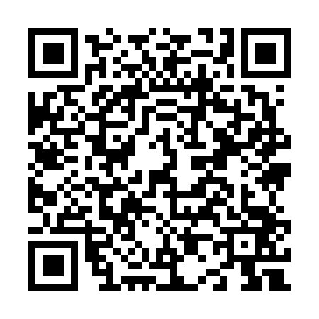 QR code for N096431