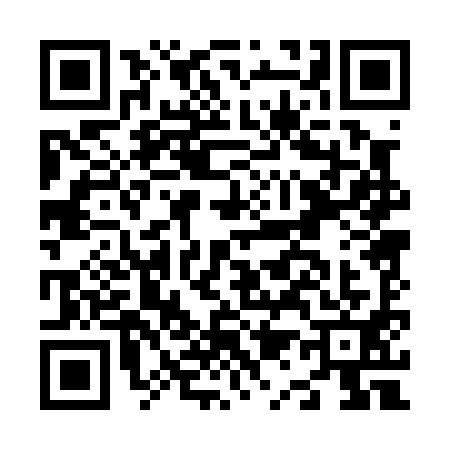 QR code for N100911