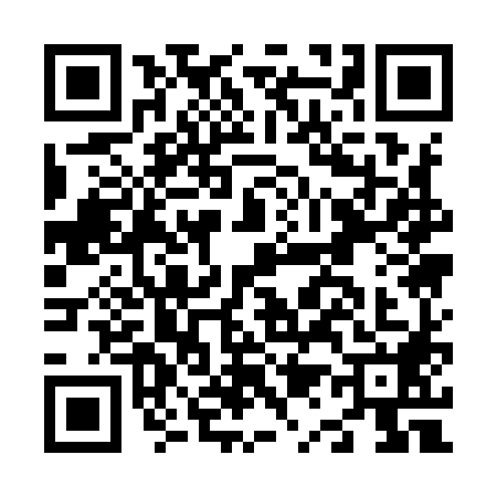 QR code for N119881