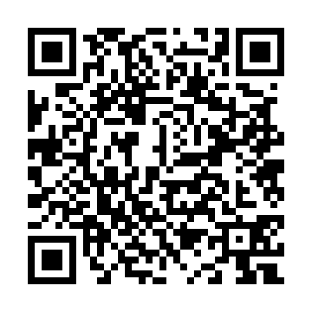 QR code for N125308