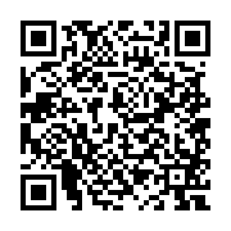 QR code for N125838