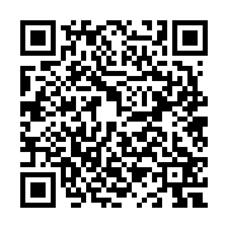 QR code for N126234