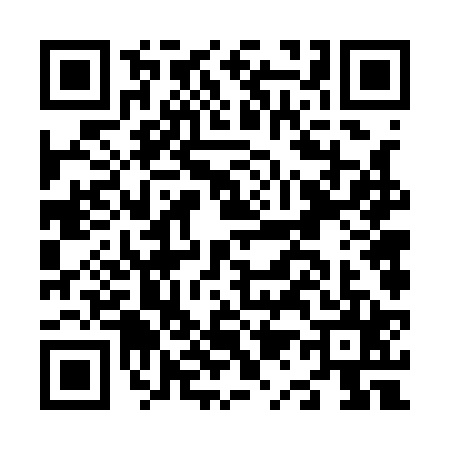 QR code for N161250