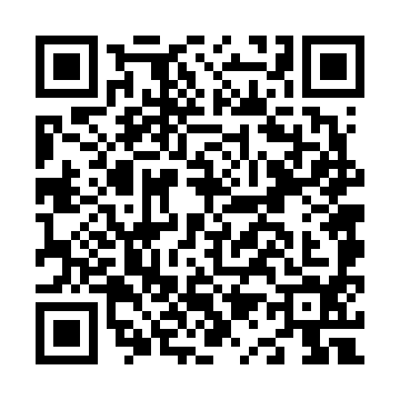 QR code for N166941