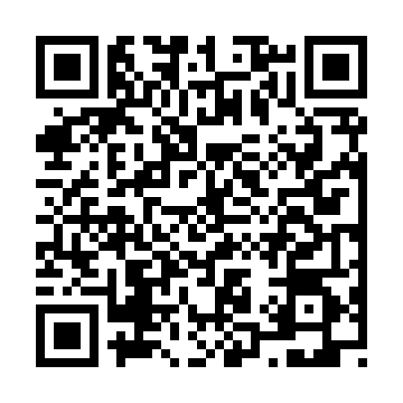 QR code for N168446
