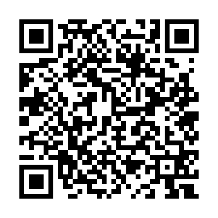 QR code for N173600