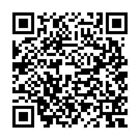QR code for N176137
