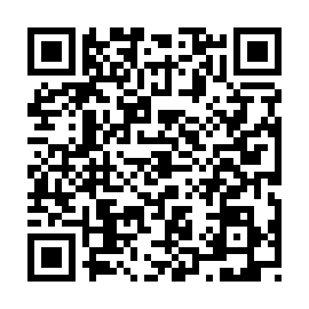 QR code for N181384